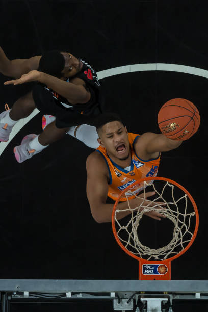 体系中的适 体系中的适